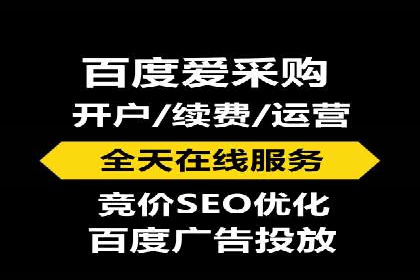 百度SEO推广案例解析与效果评估